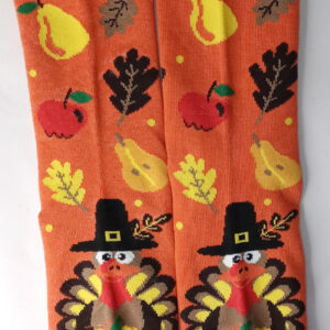 Thanksgiving Socks