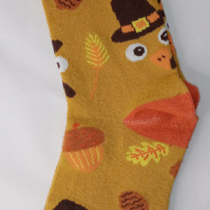 Thanksgiving Socks